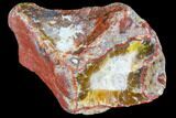Beautiful Condor Agate From Argentina - Cut/Polished Face #79534-2